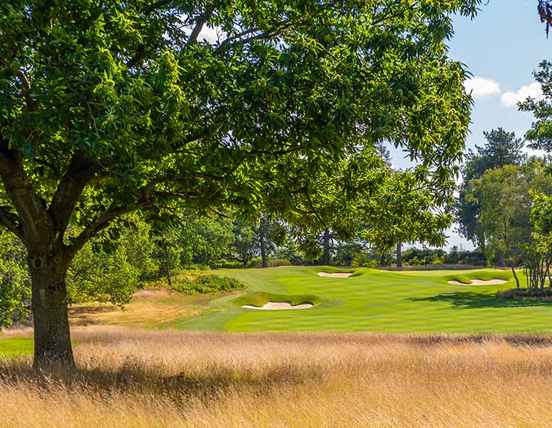 Golf course at Royal Norwich